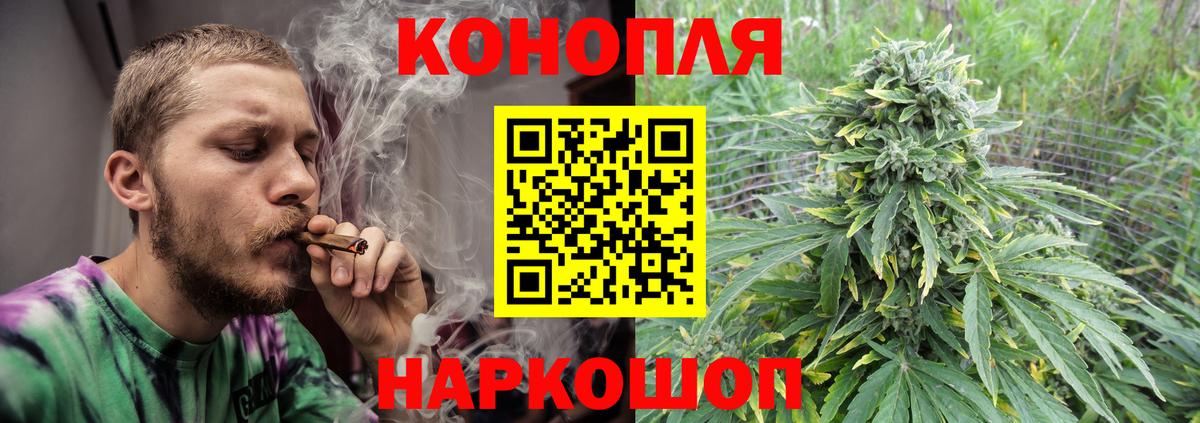МАРИХУАНА семена Будённовск